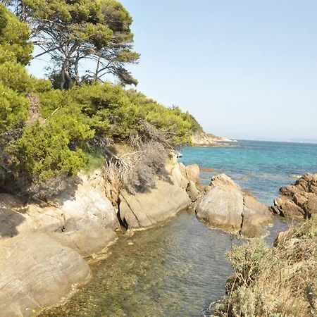 Villa Abeille : Douces Vacances D'Ete Avec Vue Mer 카발레르쉬르메르 외부 사진